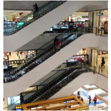 Residential Commercial Indoor Outdoor Step Escalator